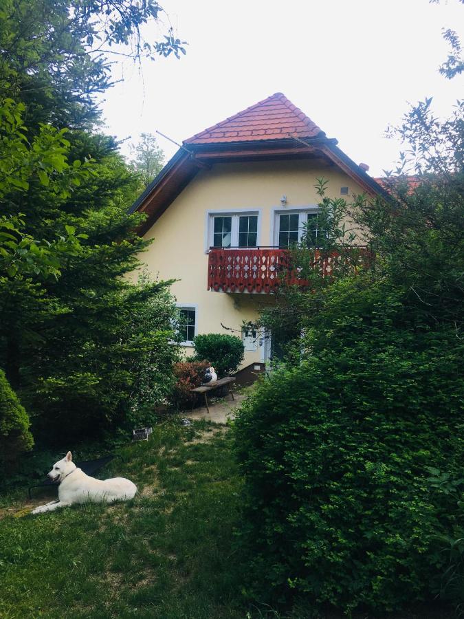 Nicehead Spacious Nest Between Maribor And Celje Apartment Loce pri Poljcanah Екстериор снимка