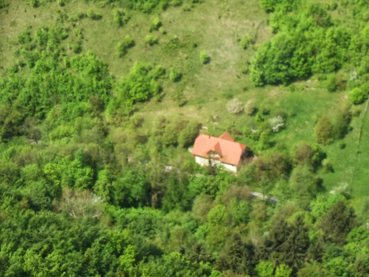 Nicehead Spacious Nest Between Maribor And Celje Apartment Loce pri Poljcanah Екстериор снимка