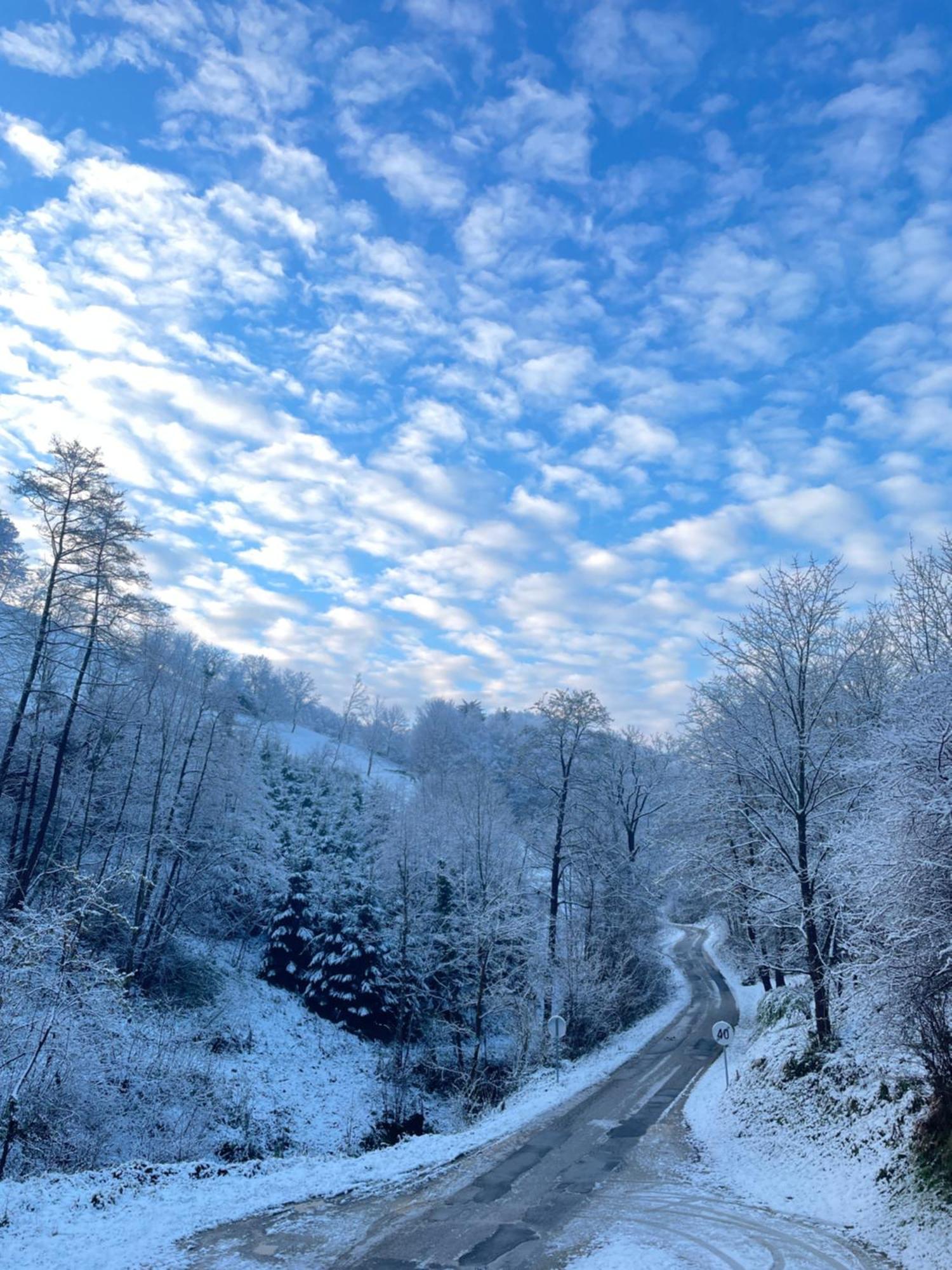 Nicehead Spacious Nest Between Maribor And Celje Apartment Loce pri Poljcanah Екстериор снимка